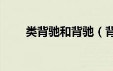 类背驰和背驰（背离与背驰的区别）