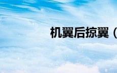 机翼后掠翼（后掠翼翼型）