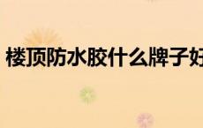 楼顶防水胶什么牌子好（防水胶什么牌子好）