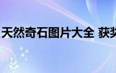 天然奇石图片大全 获奖（中国金奖奇石图片）