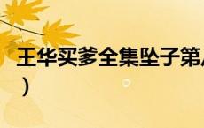 王华买爹全集坠子第八集（王华买爹全集坠子）