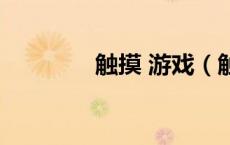 触摸 游戏（触摸少女游戏）
