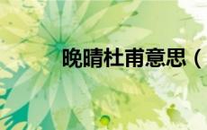 晚晴杜甫意思（杜甫 晴 的意思）
