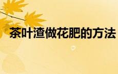 茶叶渣做花肥的方法（茶叶渣可以做花肥）