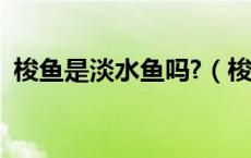 梭鱼是淡水鱼吗?（梭鱼是海鱼还是淡水鱼）