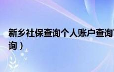新乡社保查询个人账户查询官网（新乡社保查询个人账户查询）