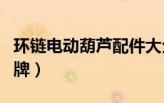 环链电动葫芦配件大全（环链电动葫芦十大品牌）