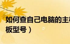 如何查自己电脑的主板型号（如何查询电脑主板型号）