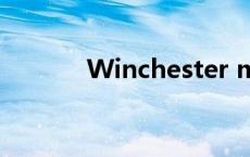 Winchester mystery house