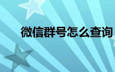 微信群号怎么查询（微信群号怎么查）