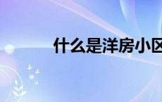 什么是洋房小区（什么是洋房）