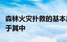 森林火灾扑救的基本原则是三打下列哪项不属于其中