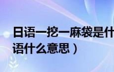 日语一挖一麻袋是什么意思?（一挖一麻袋日语什么意思）