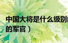 中国大将是什么级别的军官（大将是什么级别的军官）