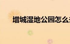 增城湿地公园怎么去（增城湿地公园）