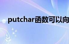 putchar函数可以向终端输出一个( )数据