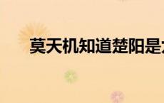 莫天机知道楚阳是九劫剑主（莫天机）