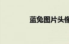 蓝兔图片头像（蓝兔图片）