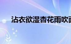 沾衣欲湿杏花雨吹面不寒杨柳风的诗意