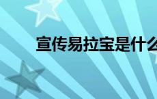 宣传易拉宝是什么（易拉宝是什么）