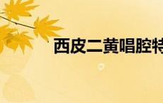 西皮二黄唱腔特点（西皮二黄）