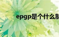 epgp是个什么制度（epgp制度）