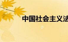 中国社会主义法的本质是什么？