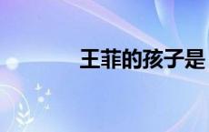 王菲的孩子是（王菲的孩子）