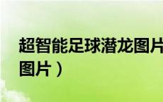 超智能足球潜龙图片 黑帝（超智能足球潜龙图片）