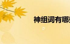 神组词有哪些（神组词）