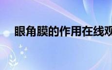 眼角膜的作用在线观看（眼角膜的作用）