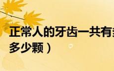 正常人的牙齿一共有多少颗（正常人的牙齿有多少颗）