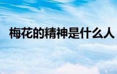 梅花的精神是什么人（梅花的精神是什么）