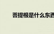 菩提根是什么东西（菩提根是什么）