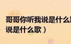 哥哥你听我说是什么歌曲的歌词（哥哥你听我说是什么歌）