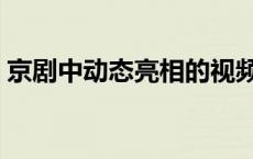 京剧中动态亮相的视频（京剧亮相动作视频）