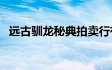 远古驯龙秘典拍卖行有吗（远古驯龙秘典）