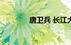 唐卫兵 长江大学（唐卫兵）