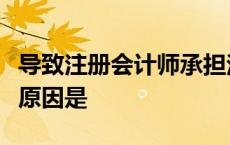 导致注册会计师承担法律责任的最主要的两个原因是