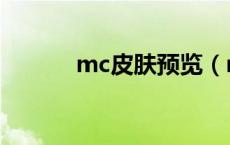 mc皮肤预览（mc皮肤站官网）