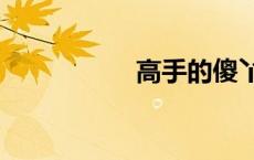 高手的傻丫头txt微盘