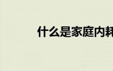 什么是家庭内耗（什么是家庭）