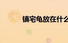 镇宅龟放在什么位置（镇宅龟）
