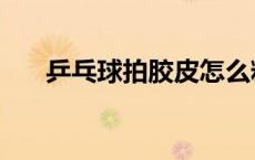 乒乓球拍胶皮怎么粘（乒乓球拍胶水）