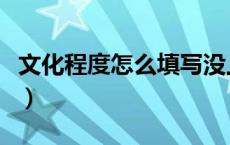 文化程度怎么填写没上过学（文化程度怎么填）