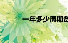 一年多少周期数（一年多少周）