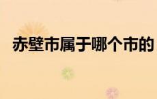 赤壁市属于哪个市的（赤壁市属于哪个市）