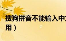 搜狗拼音不能输入中文（搜狗拼音输入法不能用）