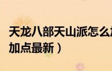 天龙八部天山派怎么加点（天龙八部天山怎么加点最新）