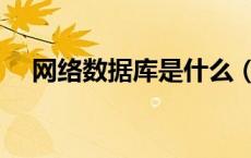 网络数据库是什么（网络数据库有哪些）